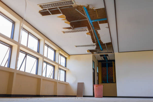 Best Basement water damage restoration  in Munford, TN