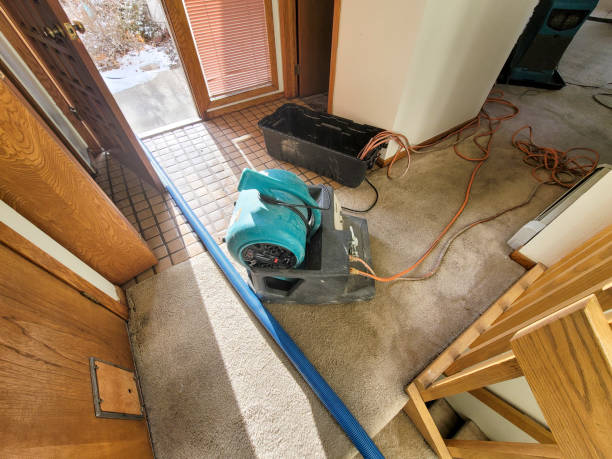 Best Flood damage cleanup  in Munford, TN
