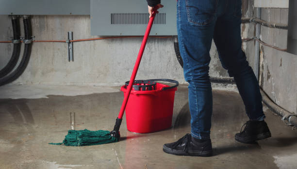 Best Local water damage restoration  in Munford, TN