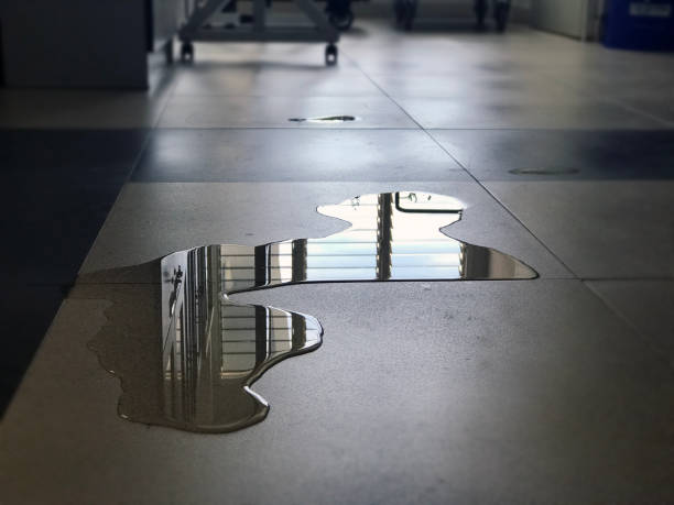 Best 24/7 water damage repair  in Munford, TN
