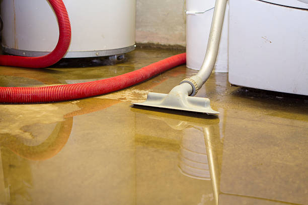 Water damage restoration mold remediation in TN