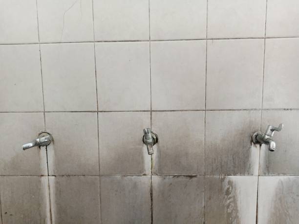 Best Water damage restoration mold remediation  in Munford, TN