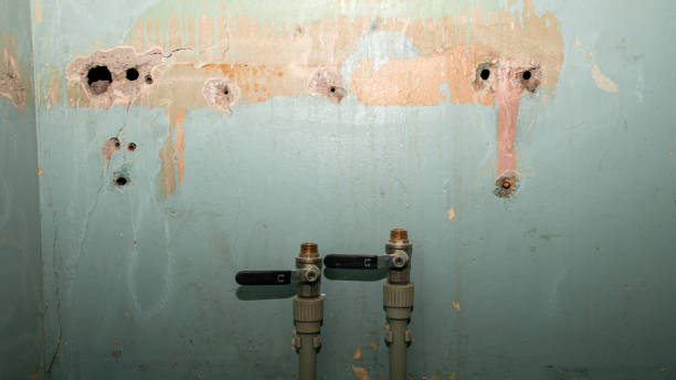 Best Emergency water damage restoration  in Munford, TN