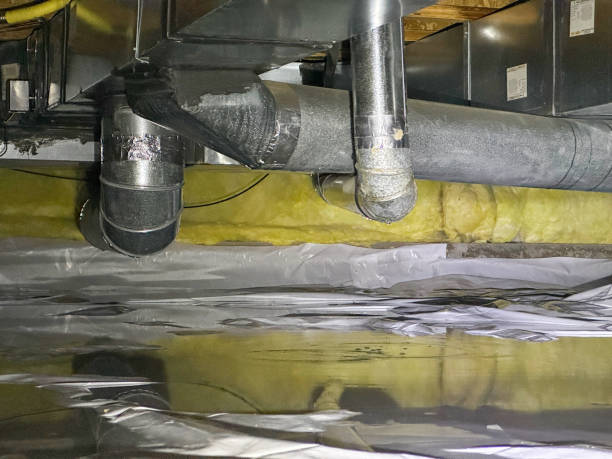 Best Carpet water damage restoration  in Munford, TN