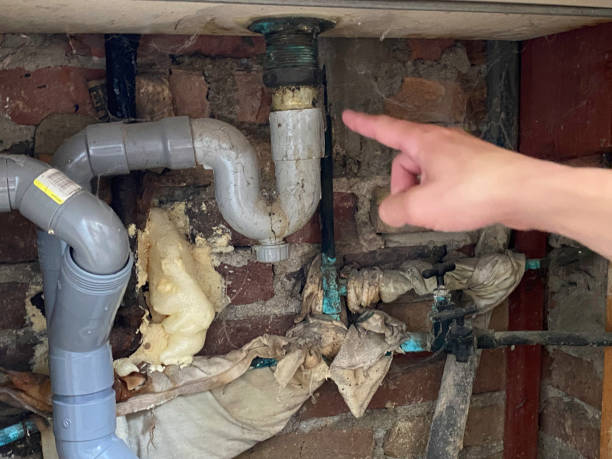 Best Sewage cleanup and water damage restoration  in Munford, TN