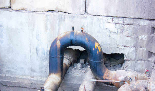 Best Mold removal after water damage  in Munford, TN